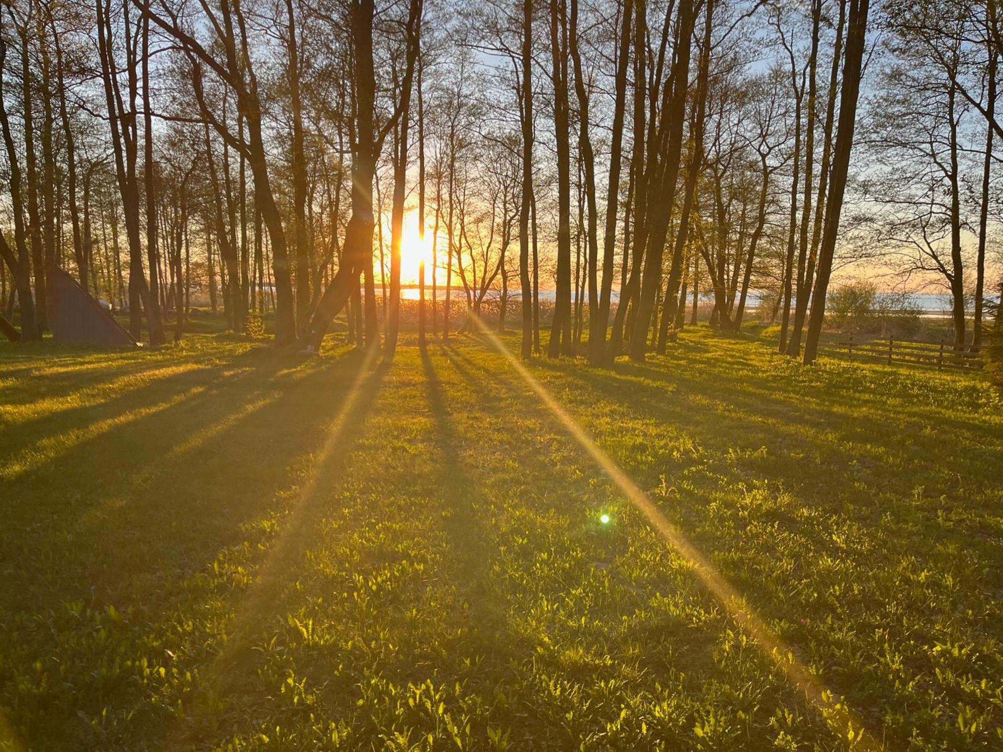 Sun& Relax- Tinyhouse Villa Syytme Eksteriør billede